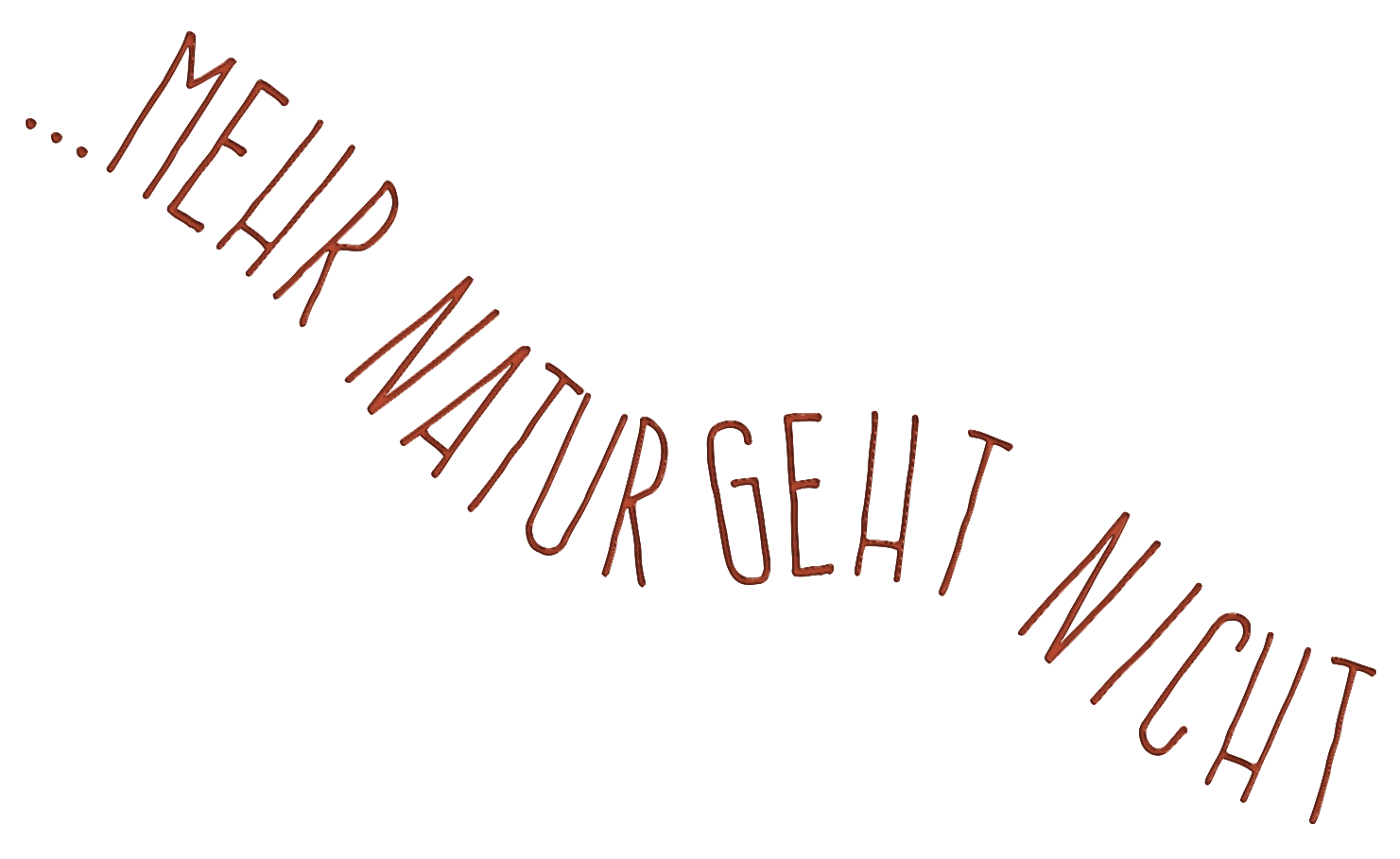Get Spruch waldkindergarten Desktop Wallpaper
