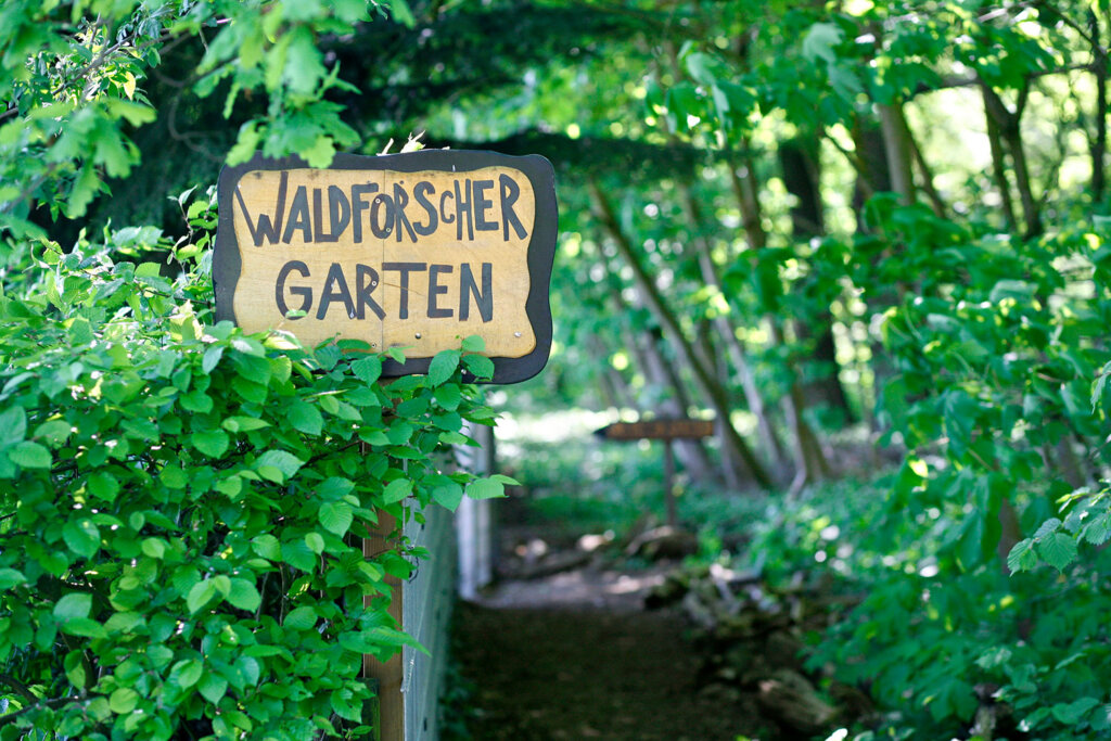 Naturkita Waldforscher - Vor einem sonnendurchfluteten Waldweg steht der Wegweiser aus Holz zu den Waldforschern.