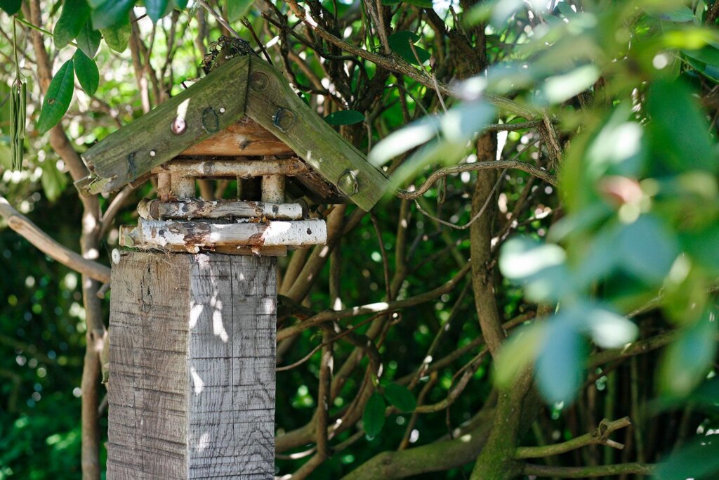 Naturkita Waldforscher - Ein Vogelhaus aus Birkenästen und Rinde steht geschützt in einer Hecke.