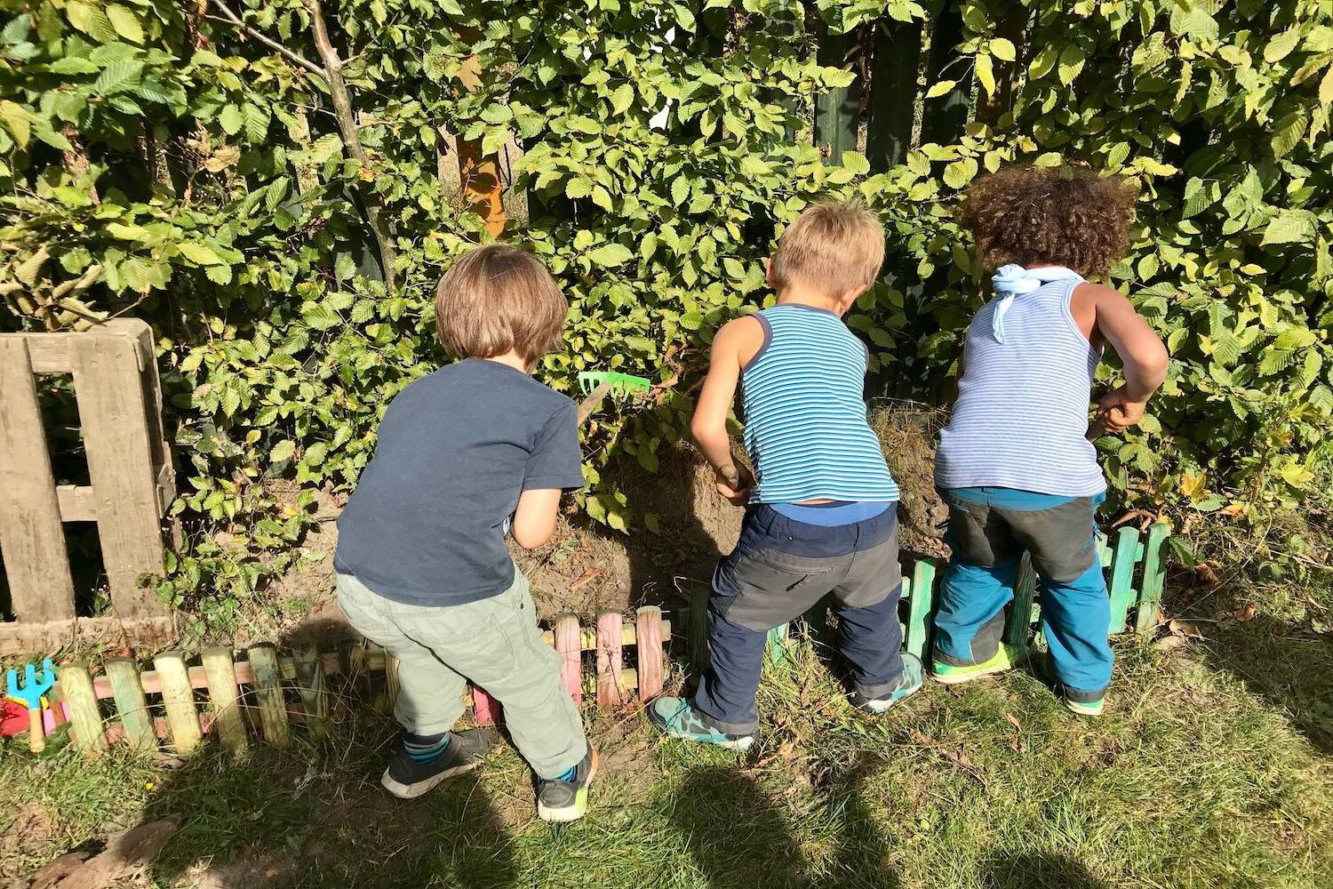 Naturkita Hamburg - Drei Jungen graben im Sommer mit Schaufeln ein Beet im Garten um.