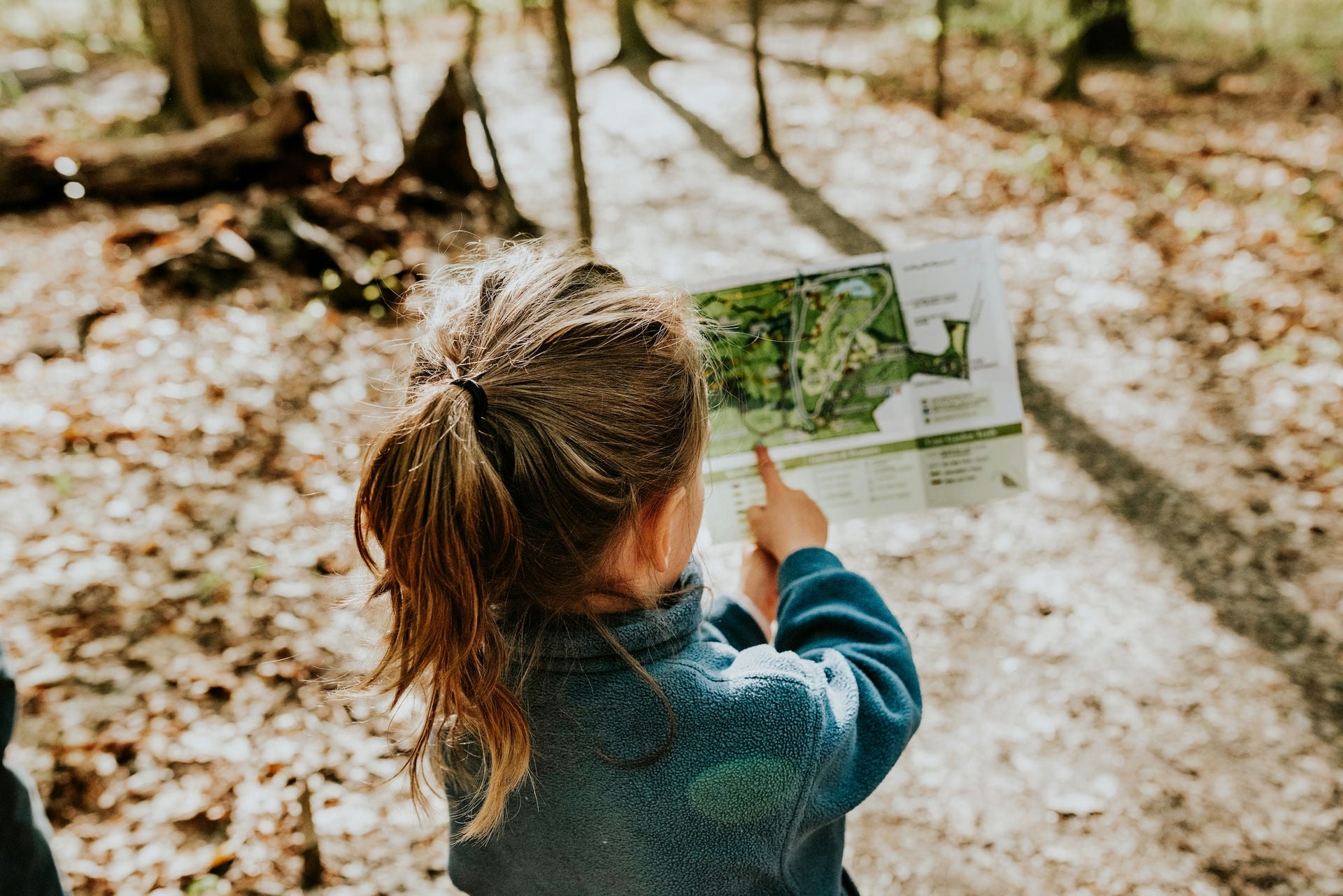 Naturkita Waldforscher - Ein fünfjähriges Mädchen mit Pferdeschwanz in einem lichten Sommerwald hält eine Landkarte vor sich und zeigt mit ihrem Finger darauf.