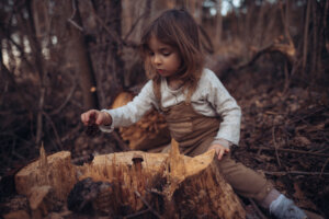 Naturkita Waldforscher - Ein vierjähriges Mädchen in brauner Latzhose spielt im Wald an einem Baumstumpf mit Tannenzapfen.