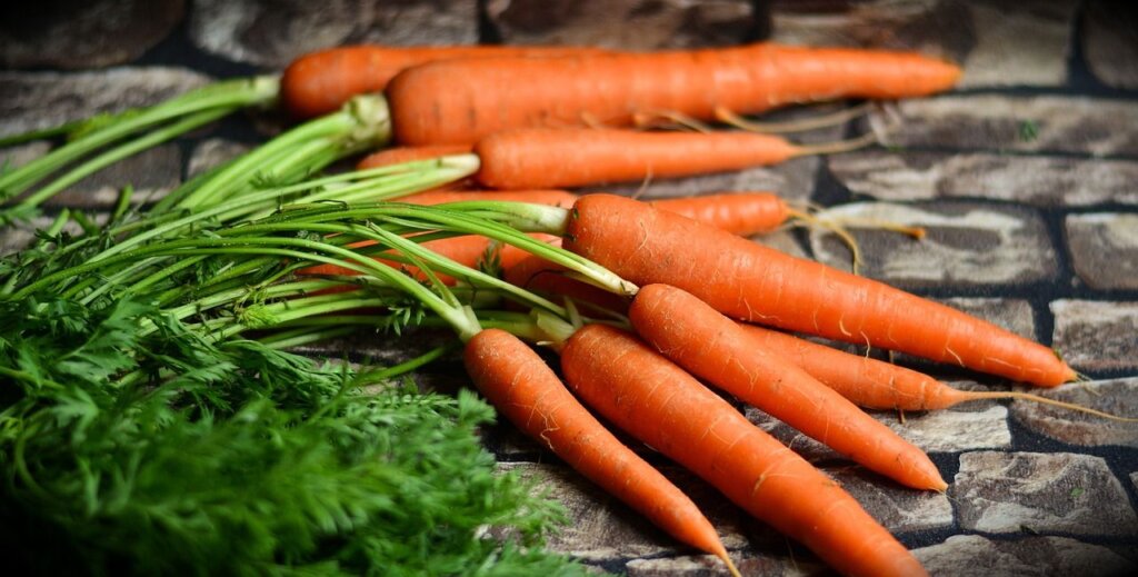 Gesunde Ernährung in der Naturkita - Für unsere Kinder nur das Beste! Ein Bund orangener Karotten mit Karottengrün liegt auf einer Arbeitsfläche.