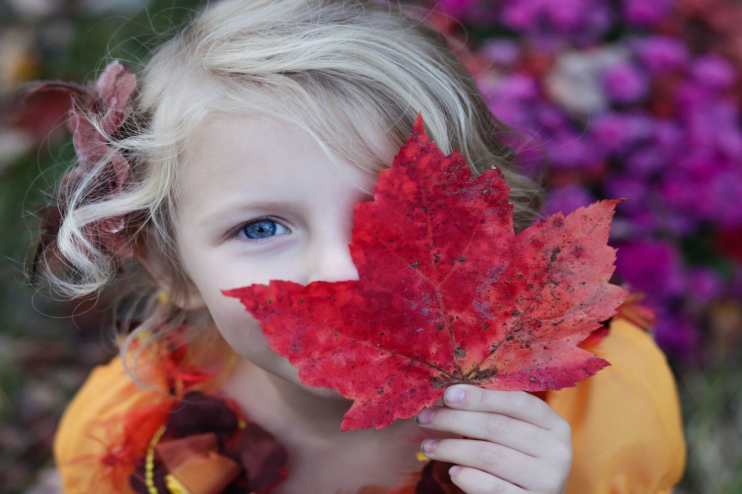 Naturkita Summerhill - Ein blondes Mädchen im orangenen Kleid und mit Blättern im Haar, hält sich ein rotes Ahornblatt vor das halbe Gesicht. Mit einem ihrer blauen Augen schaut sie in die Kamera.